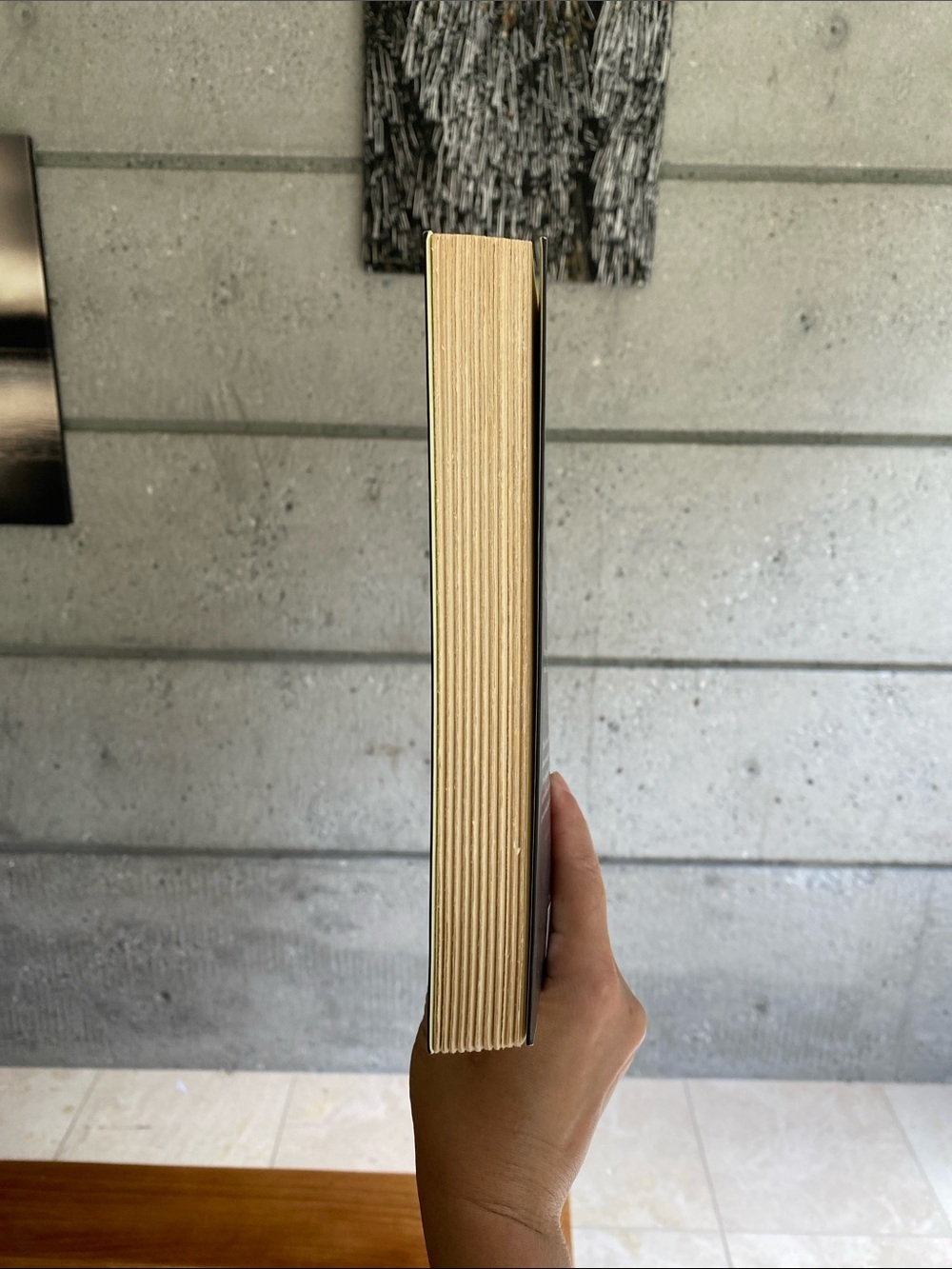 Softcover “Ellen in Pieces” Novel by Caroline Adderson - Picture 4 of 5